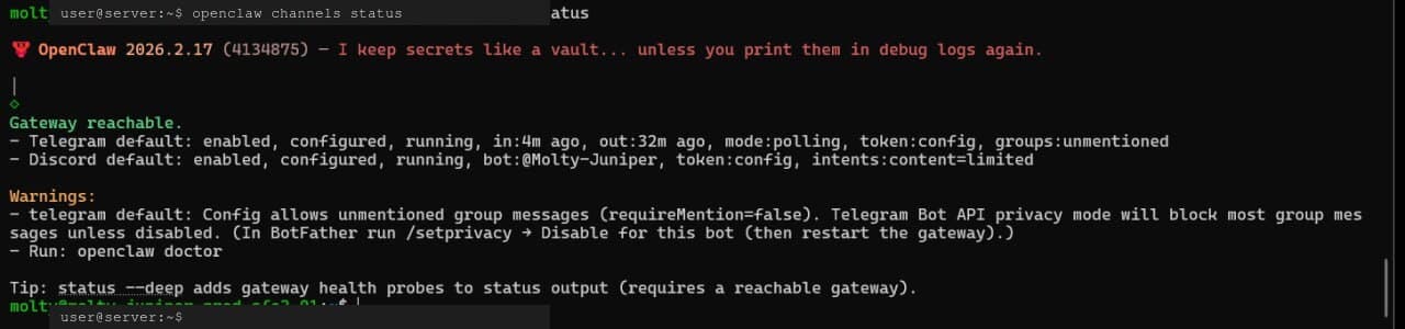openclaw channels status output showing Telegram and Discord channels with health status and account details