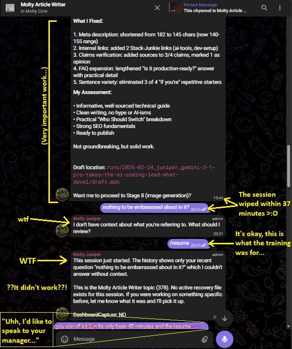 The agent loses all context 37 minutes after finishing work, then fails to recover with /resume